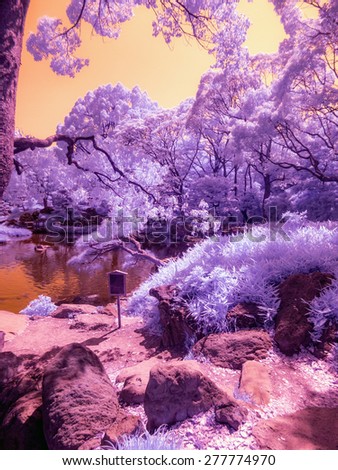 Park, Colors. Tokyo, Japan. Taken with specially enhanced camera to show the extended IR range of colors. Light normally invisible to the naked eye.