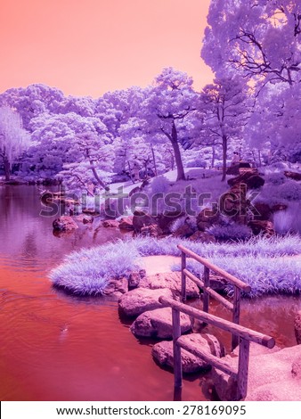 Stepping Stone Bridge. Tokyo, Japan. Taken with a specially modified camera to show only an extended but invisible infrared range.