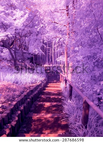 The Dark & Invisible Path. Extended infrared with a specially altered camera. All light invisible to the naked eye. Tokyo, Japan