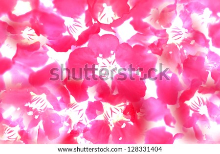 Pink and red cherry blossom pattern
