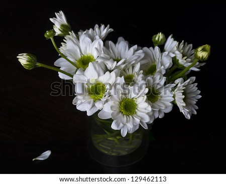 Bouquet of white spring flower front of black background