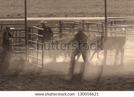 BRICE CANYON CITY, UTAH - JUNE 25: Cowboys with their animals at a rodeo show at Ruby\'s Inn Bryce Canyon Country Rodeo on June 25, 2011 in Brice Canyon City.