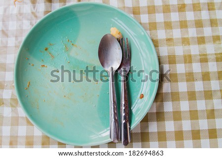 Empty dish after food on the table