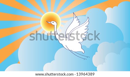 Bird Flying in sunset