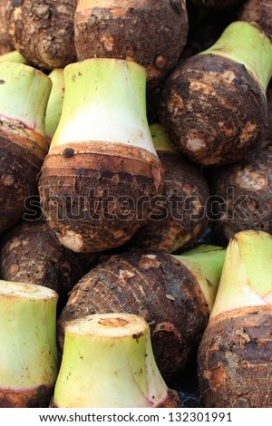 Taro is a root vegetable common in many Asian, Eastern, Pacific, and Latin American cuisines