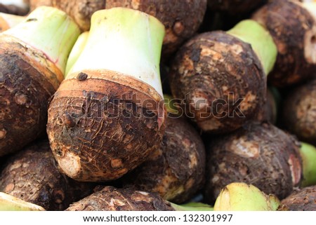 Taro is a root vegetable common in many Asian,  Eastern, Pacific, and Latin American cuisines