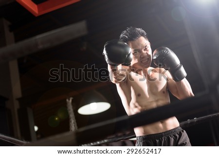 Young athletic man with boxing gloves on boxing ring. lens flare