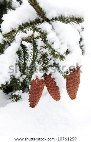Christmas tree in snowflake and cones covered with snow
