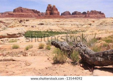 Landscape with dry red rocks and riverbed, USA, Utah