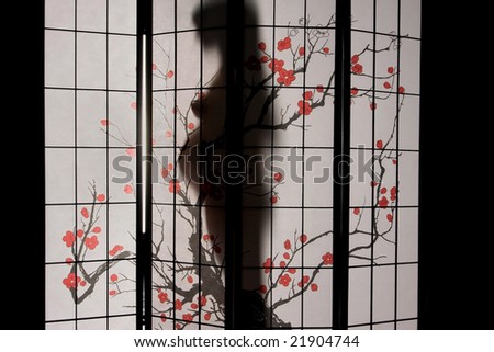 Pregnant woman silhouette with big belly behind curtain, backlit.