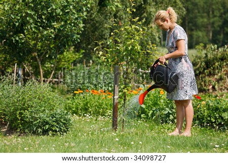 Woman watering apple tree with watering pot