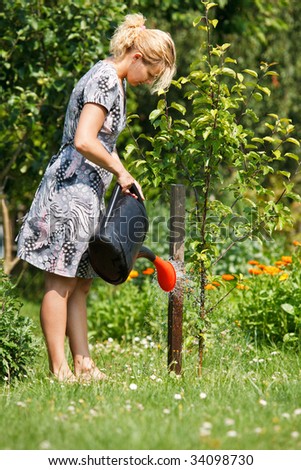Woman watering apple tree with watering pot