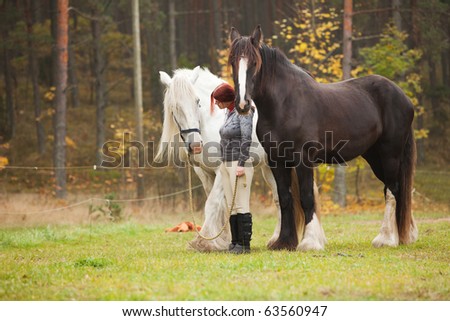 Woman with two big black and white horses in pasture