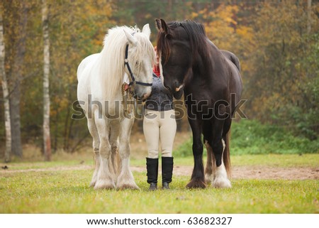 Woman having fun with two shire horses