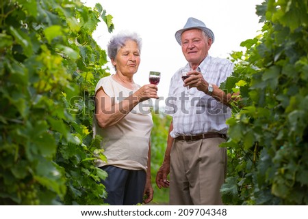 Happy mature couple - senior people (man and woman) - drinking wine