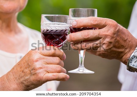 Happy mature couple - senior people (man and woman) - drinking wine