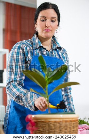 Woman looking after houseplant at home