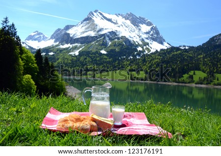 Milk, cheese and bread served at a picnic in an Alpine meadow, Switzerland