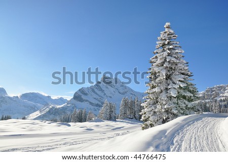 Alpine scenery. Braunwald, Switzerland