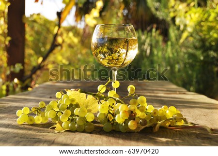 Glass of white wine and a bunch of grapes. Lavaux region, Switzerland