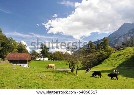 Swiss country side scenery