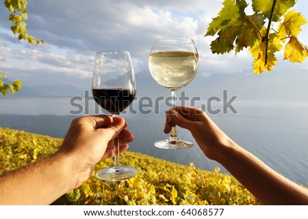 Two hands holding wineglases against vineyards in Lavaux region, Switzerland
