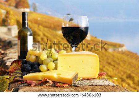 Red wine, cheese and grapes on the terrace of vineyard in Lavaux region, Switzerland