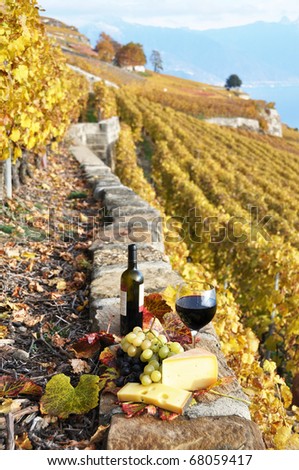 Wineglass and a bottle on the terrace vineyard in Lavaux region, Switzerland