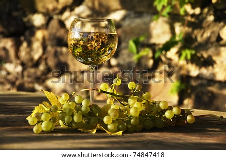 Wineglass and grapes
