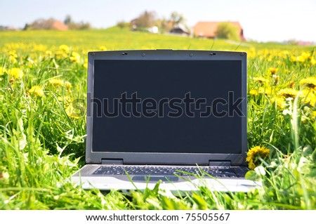 Laptop on the spring meadow