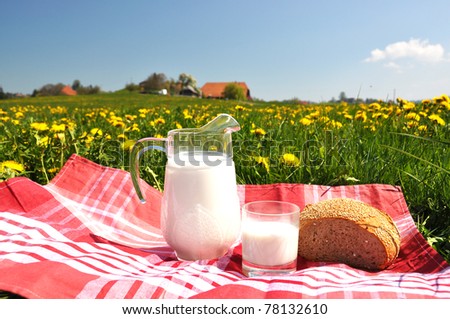 Jug of milk and bread on the spring meadow. Emmental region, Switzerland