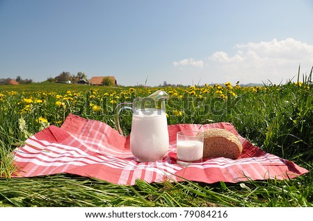 Jug of milk and bread on the spring meadow. Emmental region, Switzerland