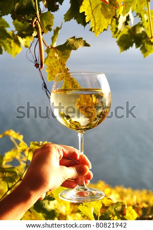 Wineglases in the hand against vineyards in Lavaux region, Switzerland