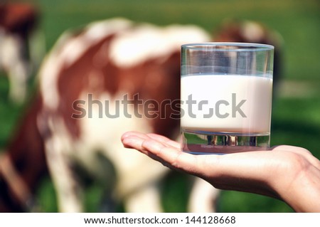 Glass of milk on the hand against herd of cows