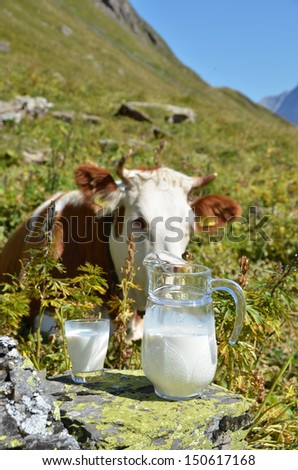Jug of milk against herd of cows. Jungfrau region, Switzerland