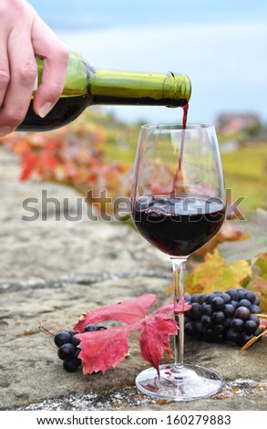 Red wine and grapes. Terrace vineyards in Lavaux region, Switzerland