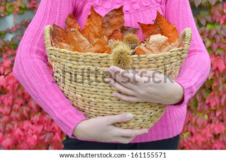 Autumn chestnuts and leaves in the basket