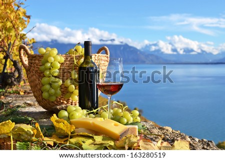 Red wine and grapes on the terrace of vineyard in Lavaux region, Switzerland