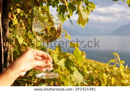 Wineglass in the hand against vineyards in Lavaux region, Switzerland