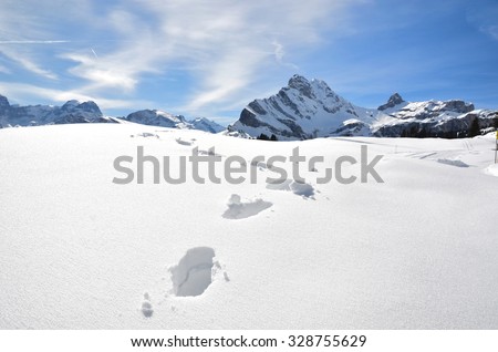 Footsteps on the snow