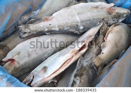 several slices of frozen fish