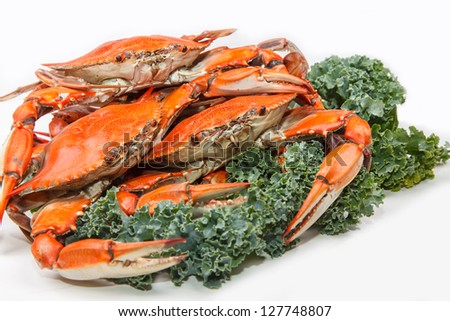 Hot Steamed Blue Crabs, symbol of Maryland State and Ocean City, MD