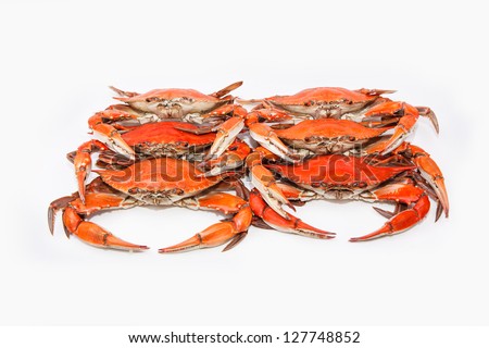 Hot Steamed Blue Crabs, symbol of Maryland State and Ocean City, MD