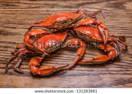 Hot steamed Blue Crabs, symbol of Maryland State and Ocean City, MD
