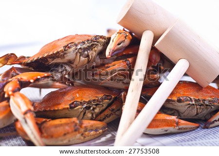 Hot Steamed Crabs, famous blue crabs from Chesapeake Bay i Maryland State