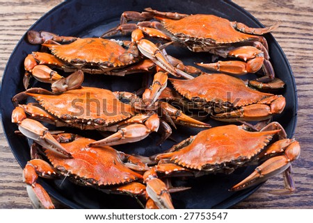 Hot Steamed Crabs, famous blue crabs from Chesapeake Bay i Maryland State
