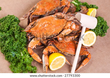 Hot Steamed Crabs, famous blue crabs from Chesapeake Bay in Maryland State