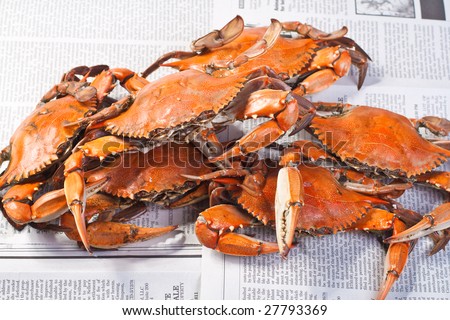 Hot Steamed Crabs, famous blue crabs from Chesapeake Bay in Maryland State