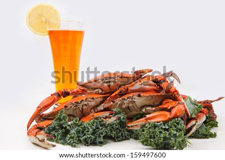 Steamed Blue Crabs with garnish and glass of beer on white background, one of the symbols of Maryland State and Ocean City, MD