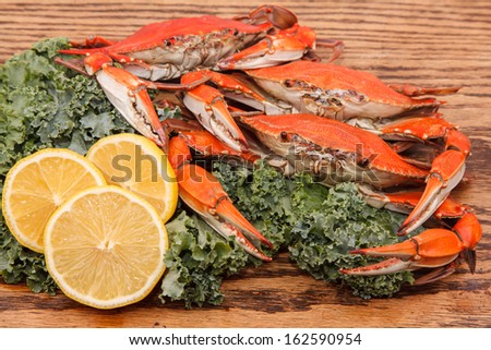 Steamed Blue Crabs, one of the symbols of Maryland State and Ocean City, MD, with lemon slices and garnished with kale on a wooden table
